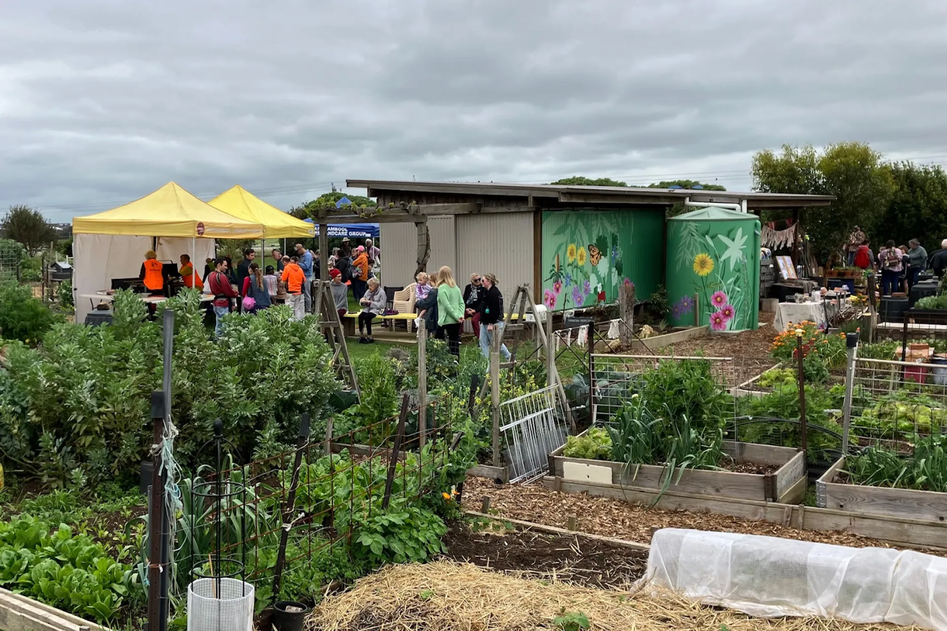 A community garden full of lush garden beds, people and art